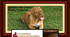 Desktop Screenshot of cornerstoneddb.com